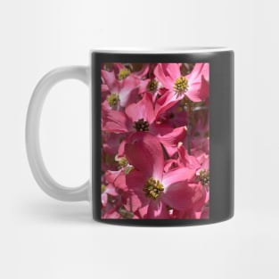 Cherokee Dogwood Tree Blossoms Mug